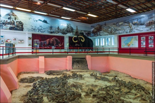 Музей охотников на мамонтов в Костенках